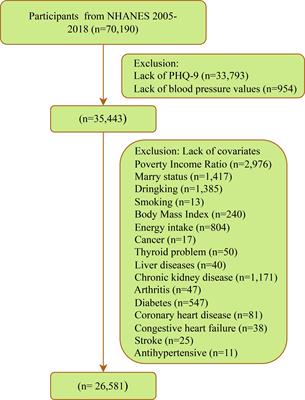 Association of diastolic and systolic blood pressure with depression: a cross-sectional study from NHANES 2005-2018